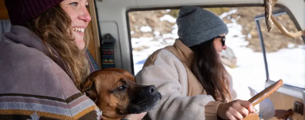 Overcoming Common Challenges of RVing with Pets