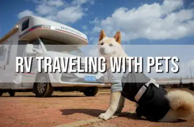 Tips for RV Traveling with Pets